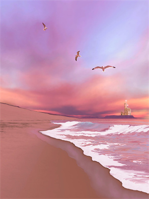 秦珂傅修瑾小說全文